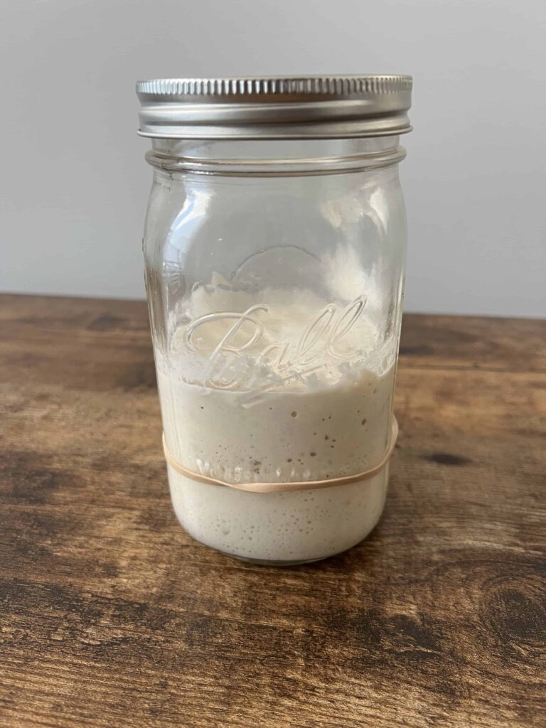 A mason jar is on a brown table. It is filled halfway with activated sourdough starter. There is a rubber band wrapped around the sourdough jar. 