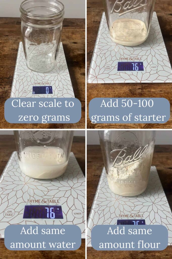 A four part collage displays a mason jar sitting on a digital scale with pictures of adding starter, water, and flour to the jar. 