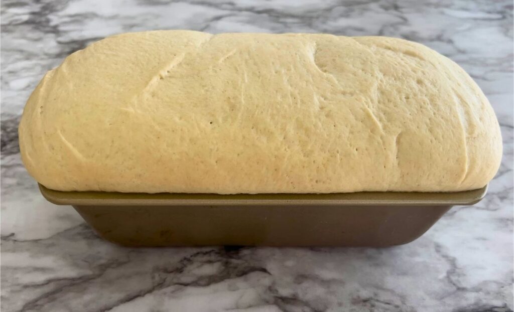 Proofed bread that has risen one inch above the top of the bread pan. 