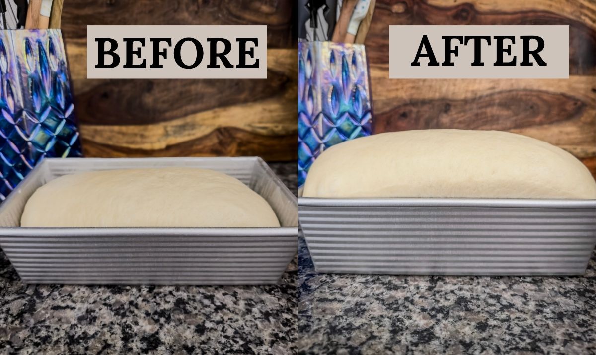 A before and after collage of bread dough before and after it has risen in its pan.