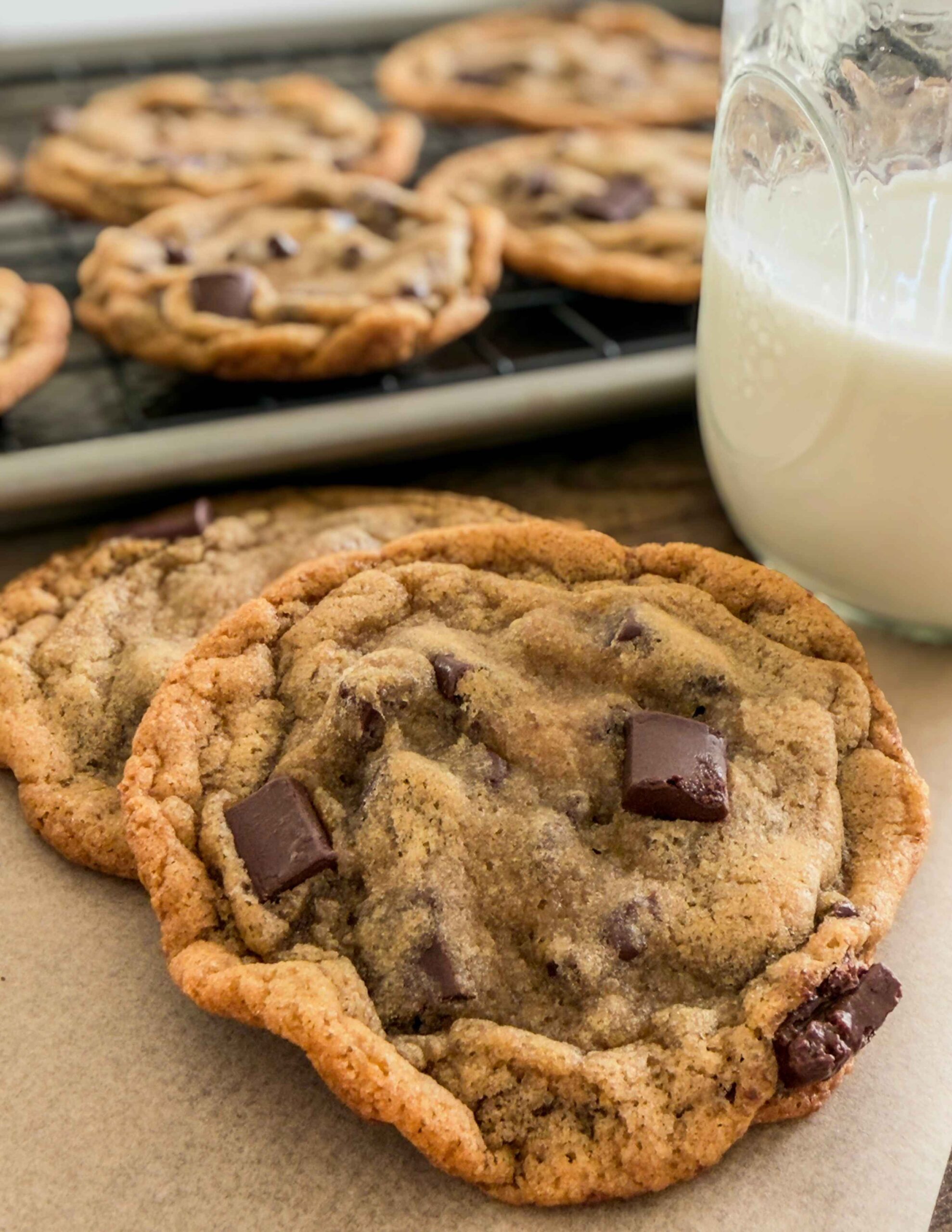 Two magnolia style chocolate chip cookies in front of a pan of cookies and next to a glass of milk.
